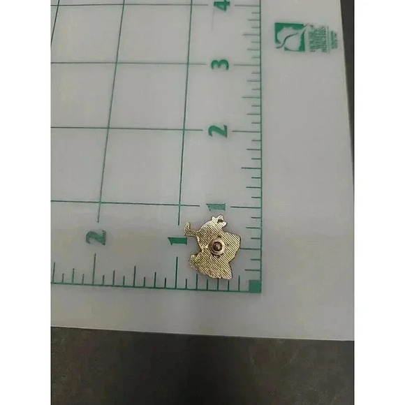 Vintage Cowboy Rodeo Cattle Collectors Pin No Back - Picture 2 of 2